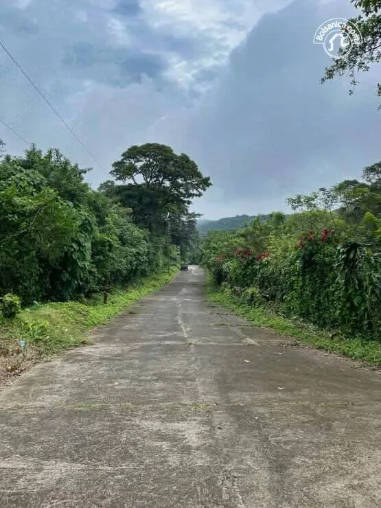 Terreno en venta Las Nubes, El Crucero - foto 2