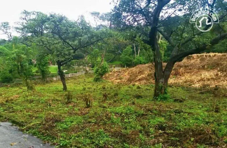 Terreno en venta Las Nubes, El Crucero - foto 5