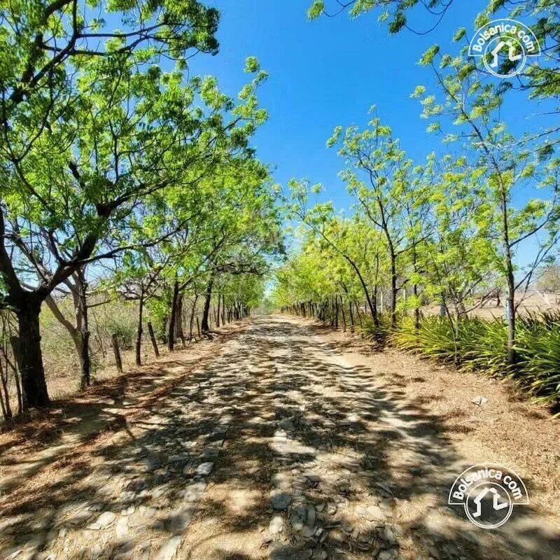 Venta de Terreno en Playa Hermosa en Condo - foto 5