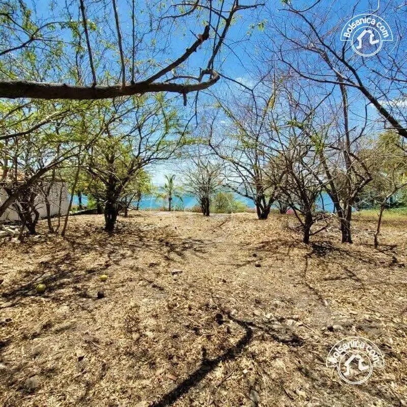Venta de Terreno en Playa Hermosa en Condo - foto 6
