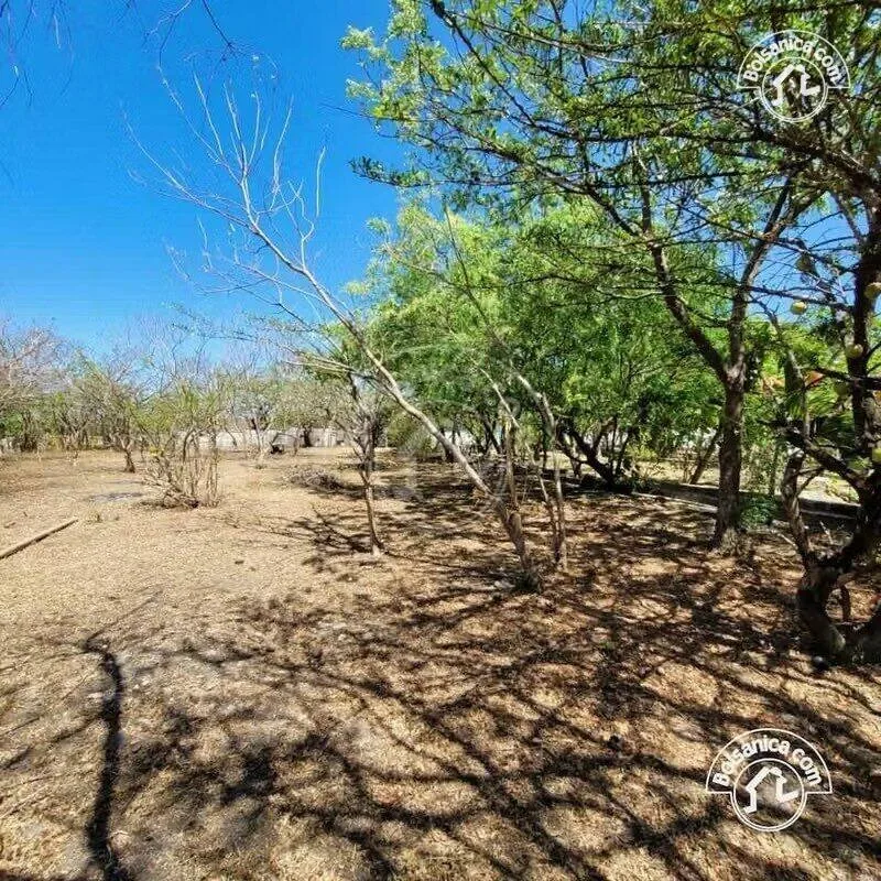 Venta de Terreno en Playa Hermosa en Condo - foto 9
