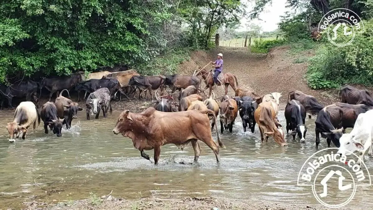 Venta de terreno en Managua, foto 9
