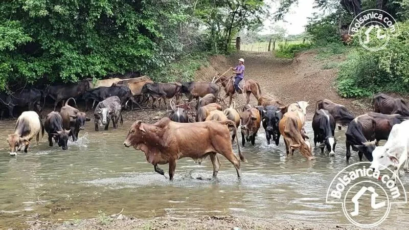 Venta de Propiedad 3km Playa Virgen Villa El Carmen - foto 9