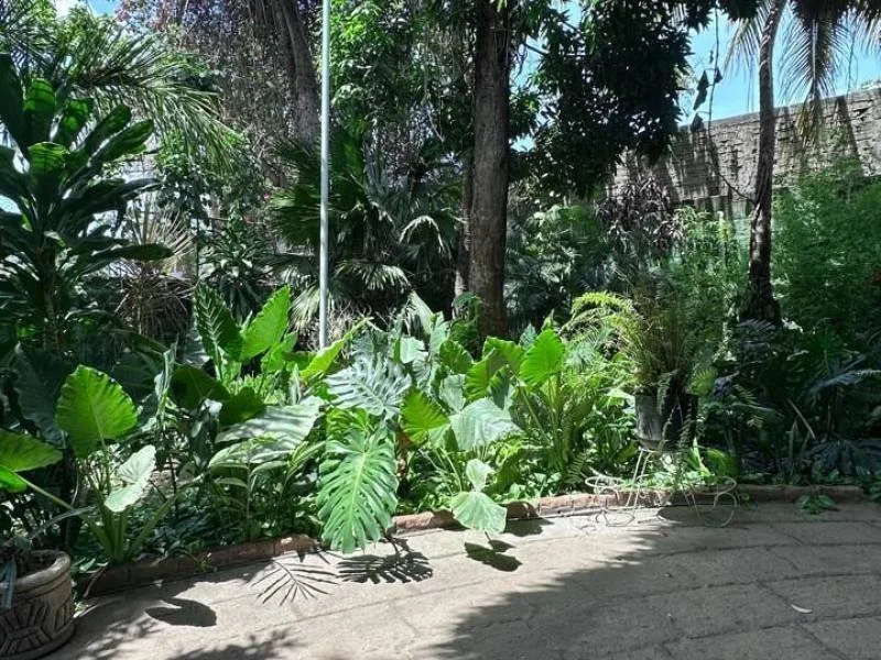 Venta de Casa Chalet en Carretera Sur - foto 17