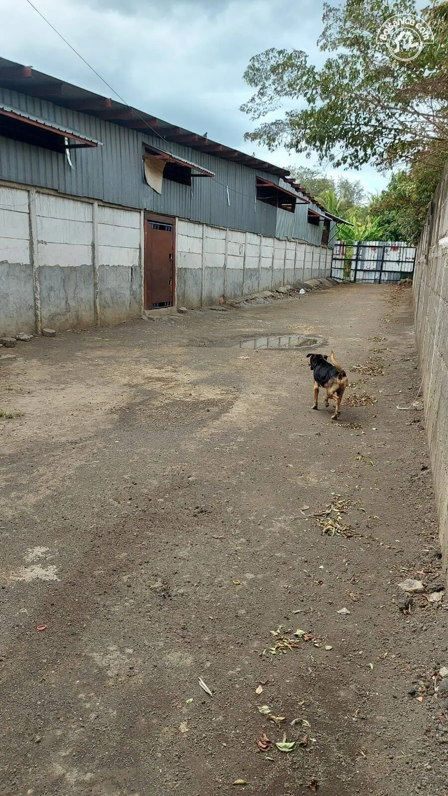 Alquiler de bodega en Carretera Norte, Managua, foto 15