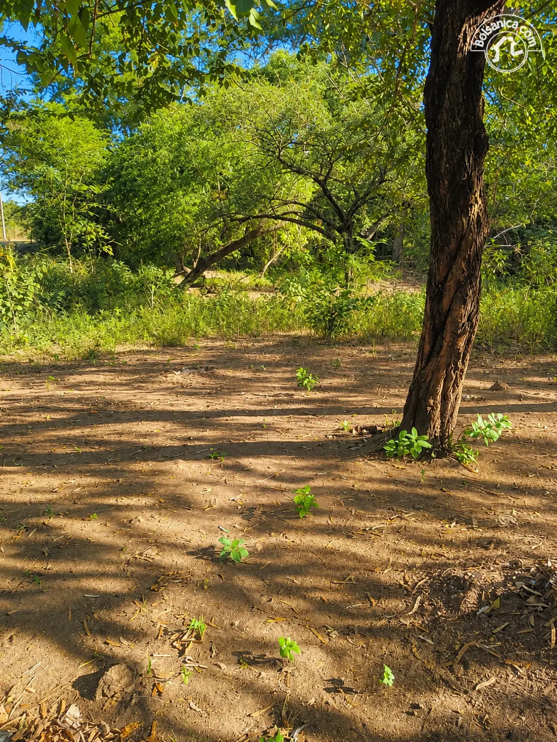 Venta de finca en León, foto 3