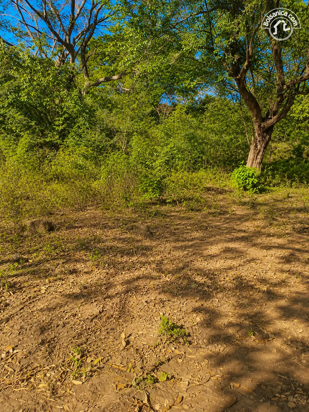 Venta de finca en León, foto 6