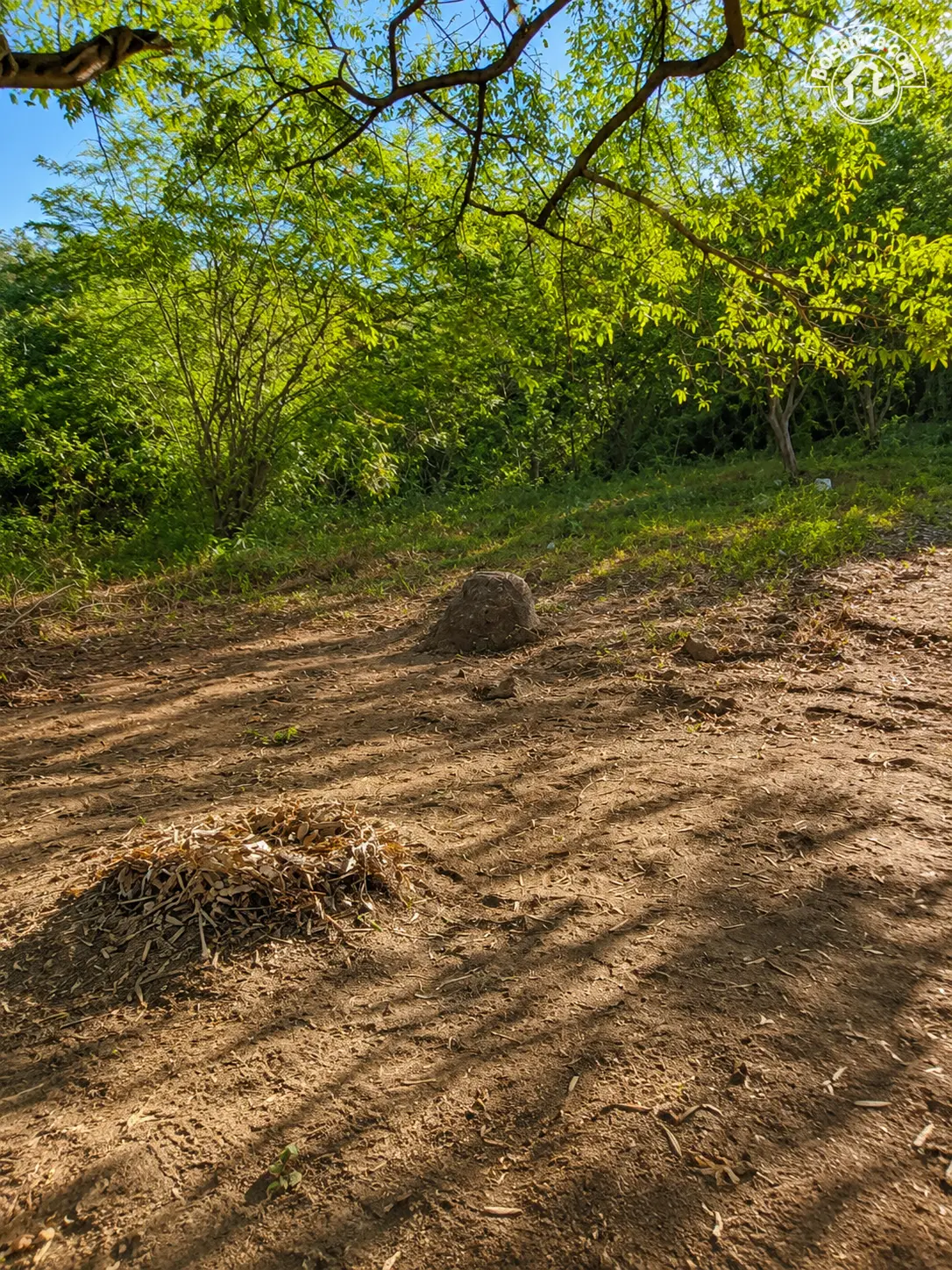 Venta de finca en León, foto 8