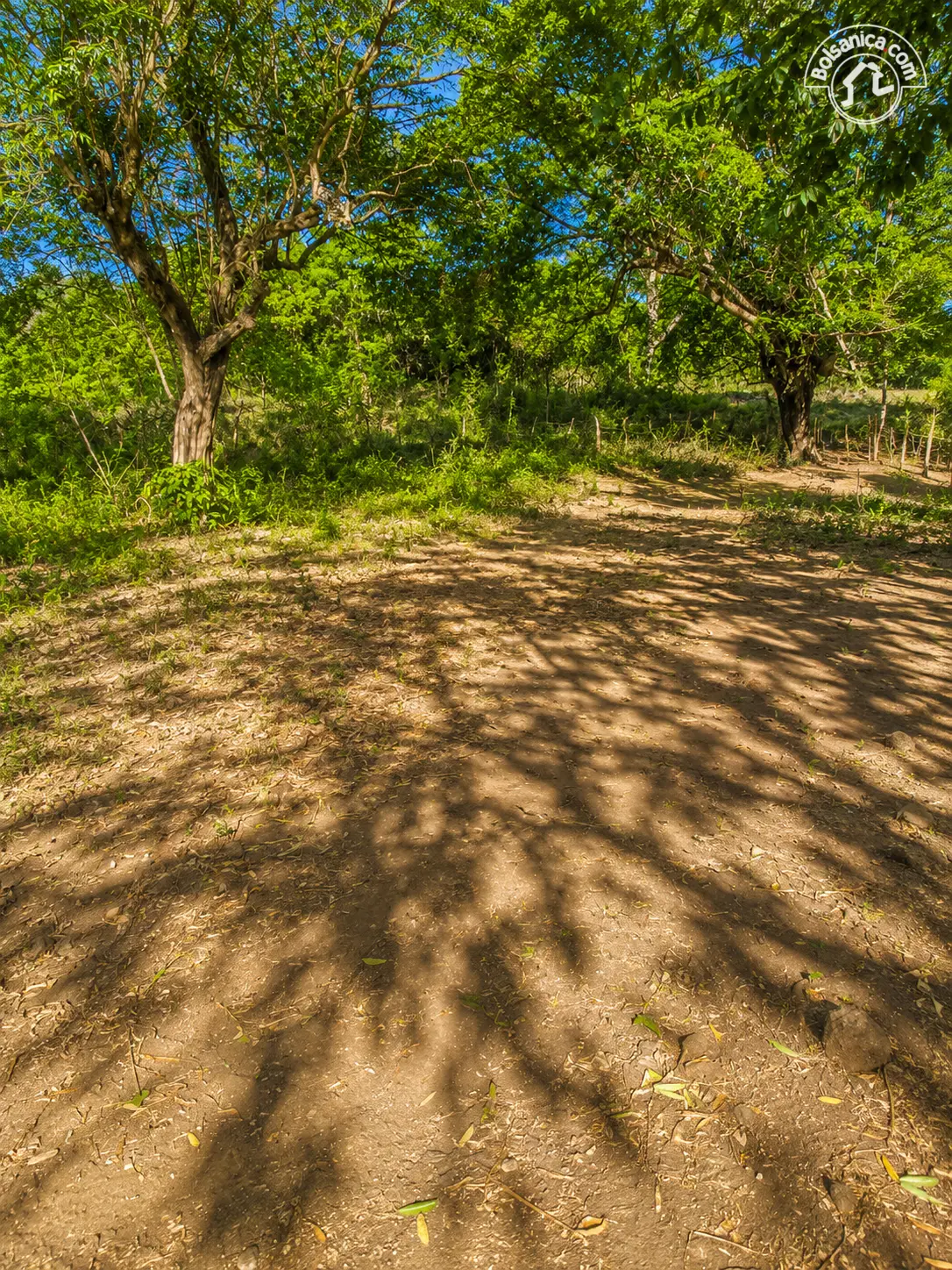 Venta de finca en León, foto 2