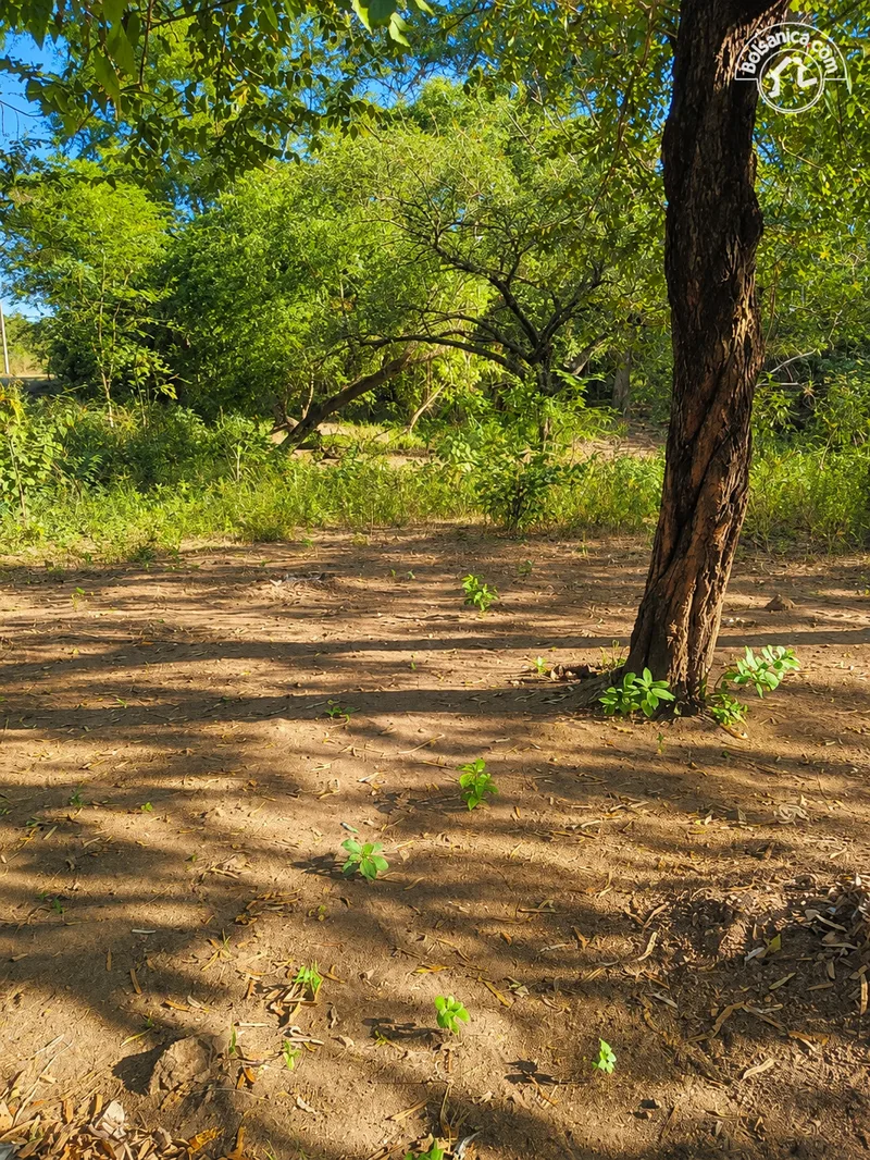 Venta de Finca en Poneloya, Leon - foto 3