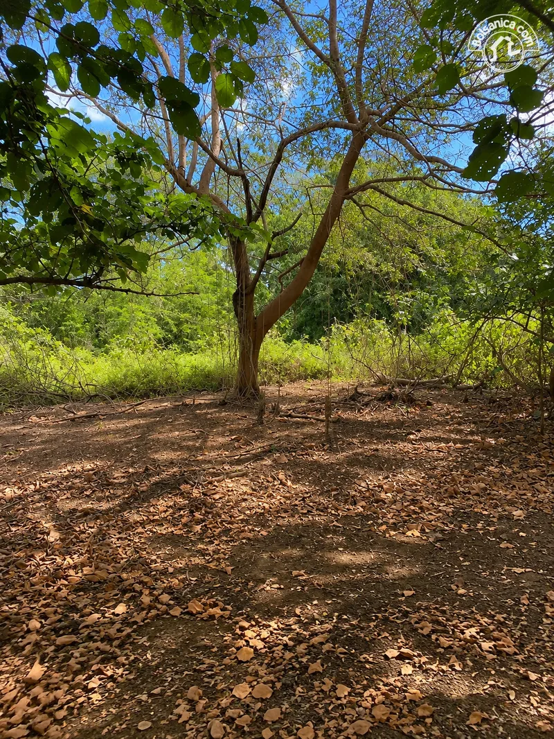 Venta de Finca en Poneloya, Leon - foto 5