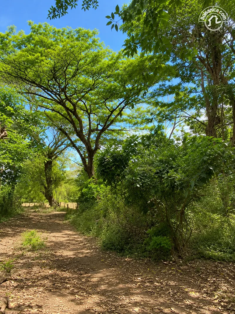 Venta de Finca en Poneloya, Leon - foto 4