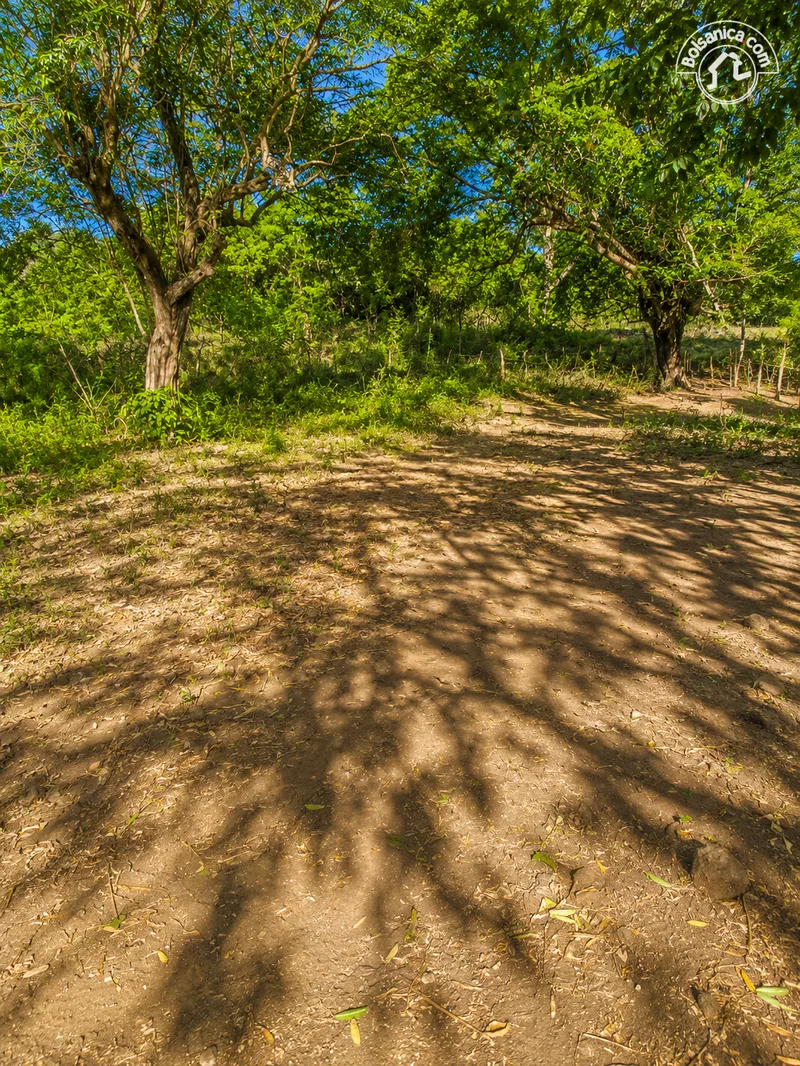 Venta de Finca en Poneloya, Leon - foto 2