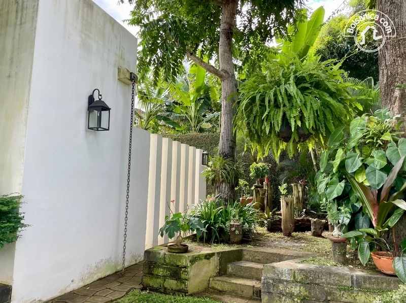 Casa en alquiler en Santo Domingo, Managua - foto 11